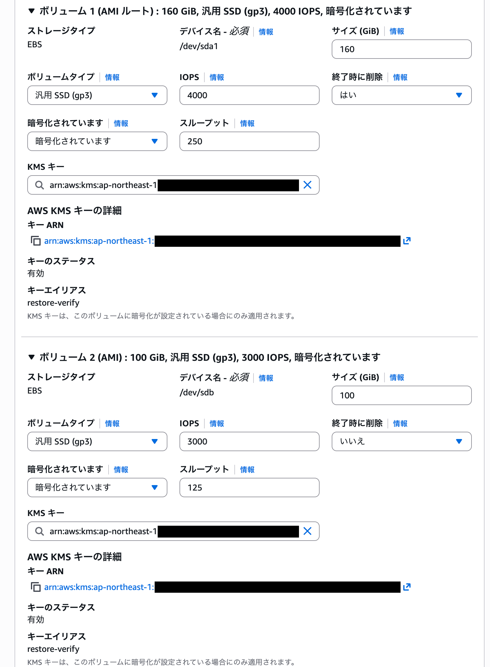 復元画面:ストレージ