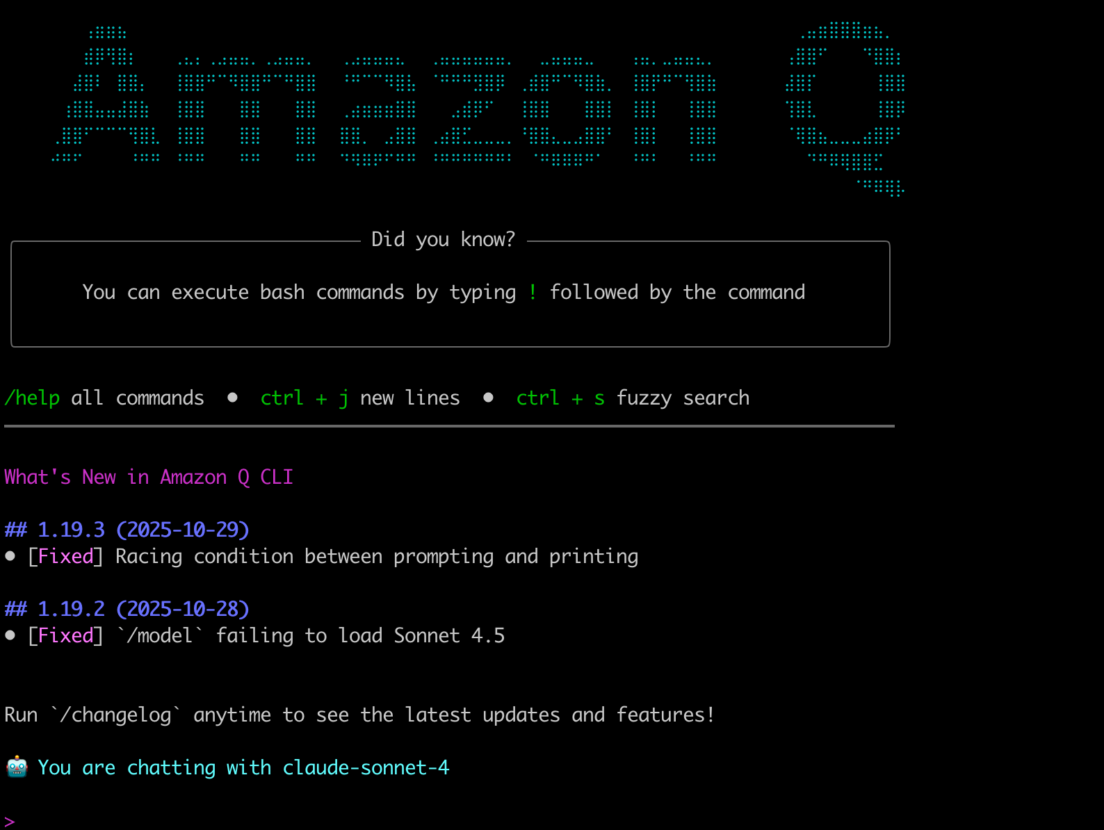 20-launch-q-dev-cli.png