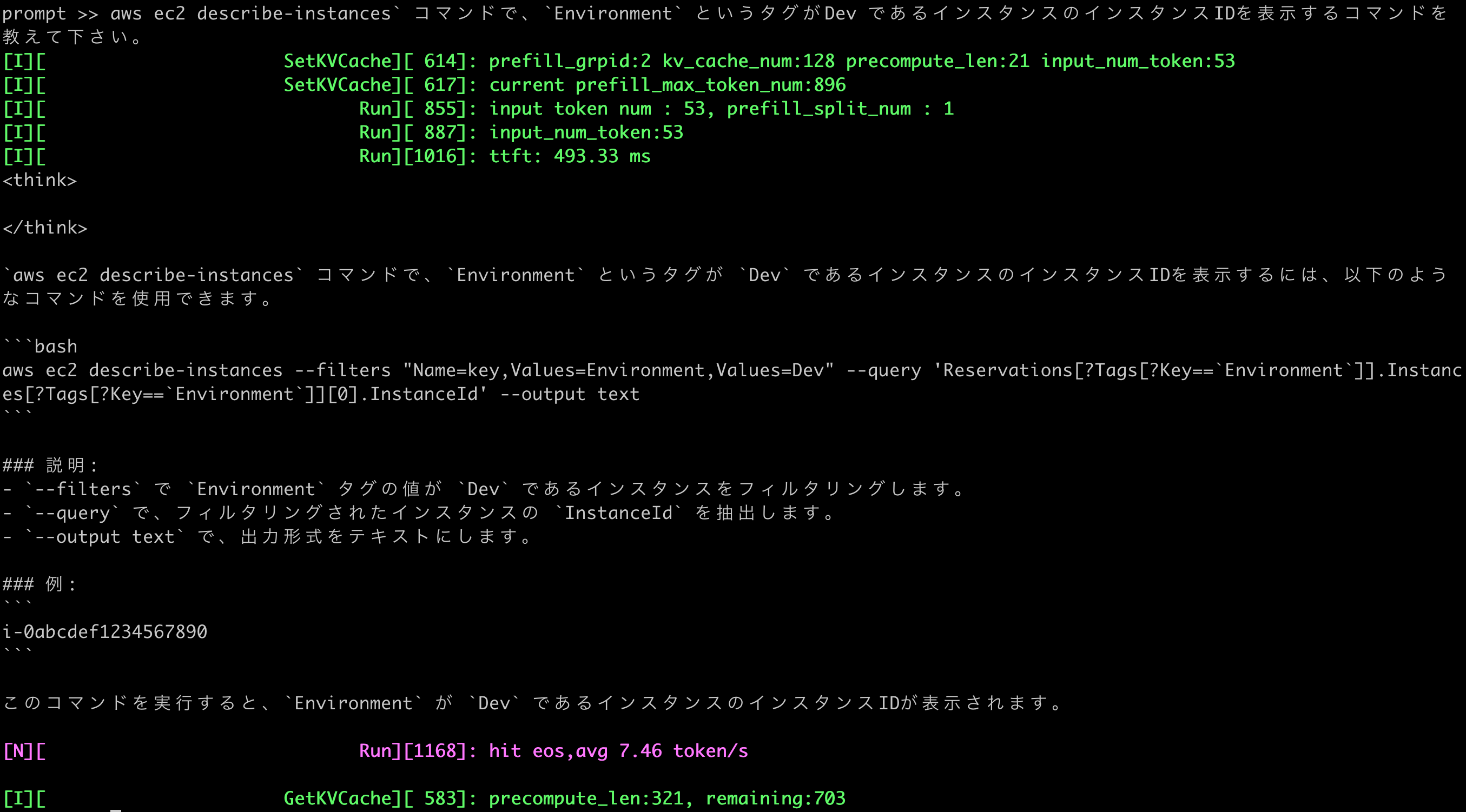 11-qwen3-1_7b-aws-cli-question
