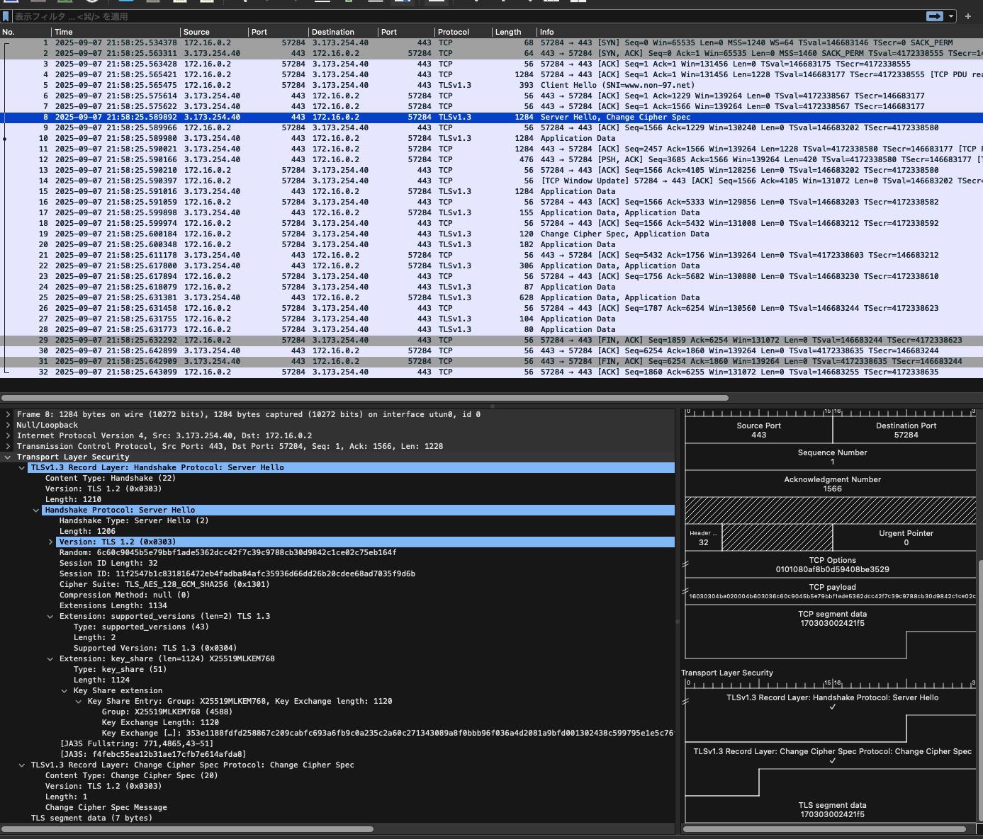3.TLSv1_2_2021_tls1_3_pcapng.png