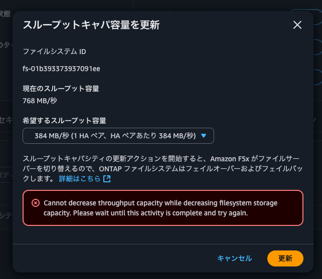 5.Cannot decrease throughput capacity while decreasing filesystem storage capacity. Please wait until this activity is complete and try again.png