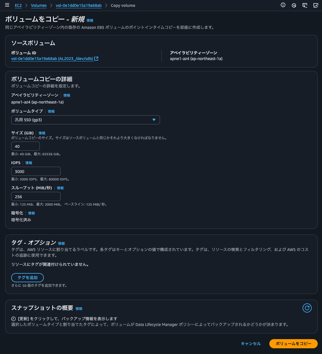 5.クローンボリュームの作成.png
