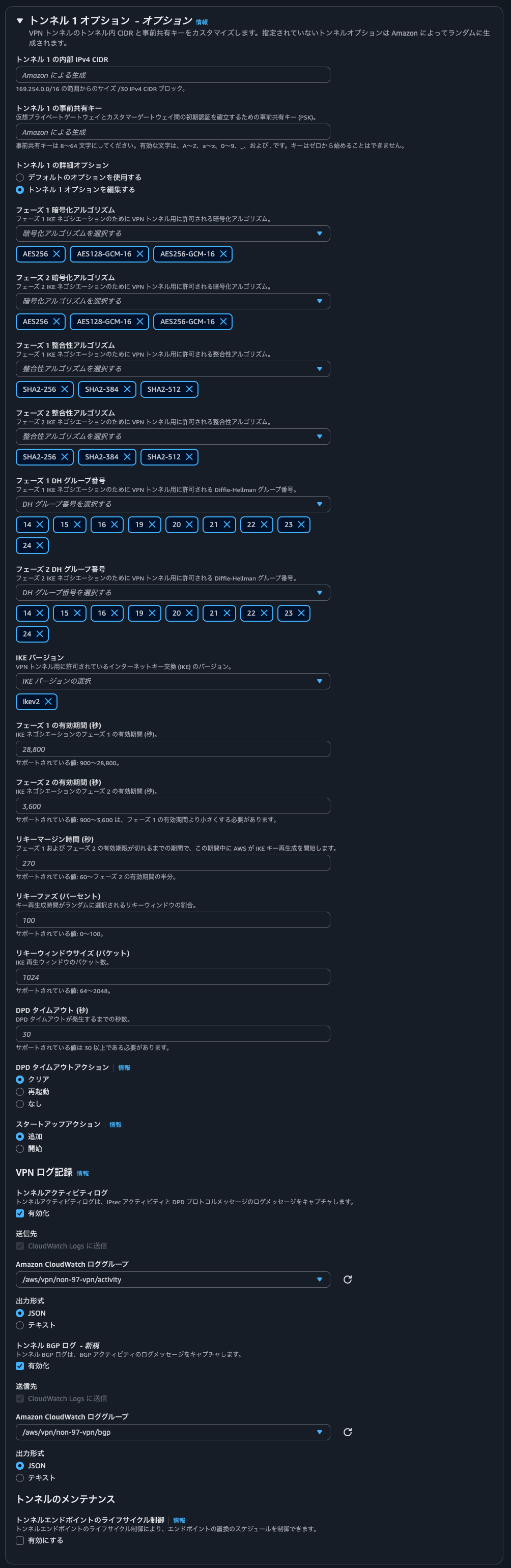 5.トンネル 1 オプション.png
