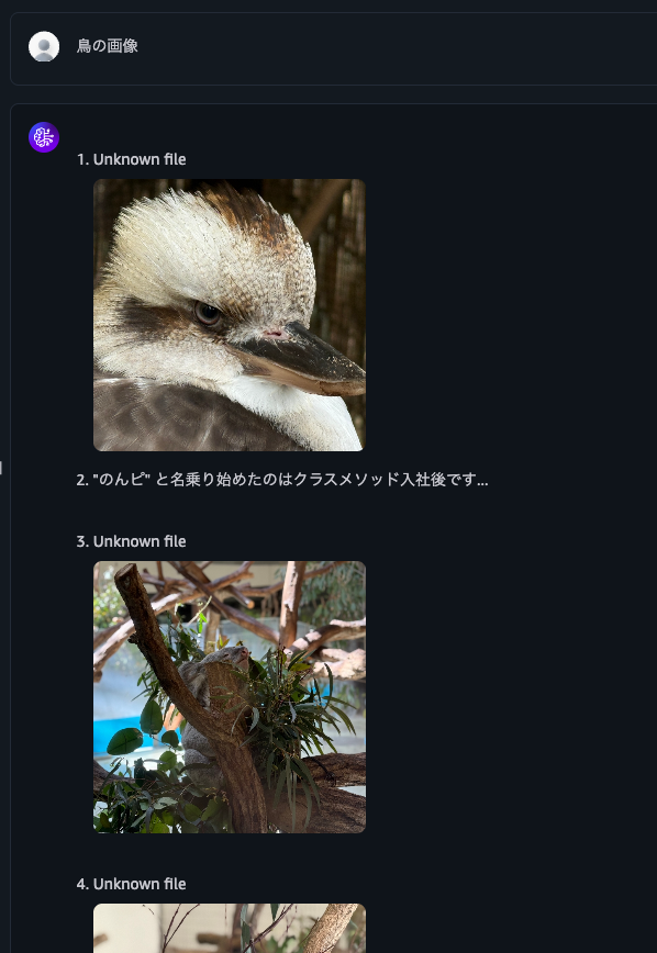 20.鳥の画像.png