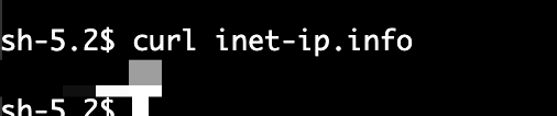 切り替え前に curl inet-ip.info で外部から見える送信元 IPv4 アドレスを確認する