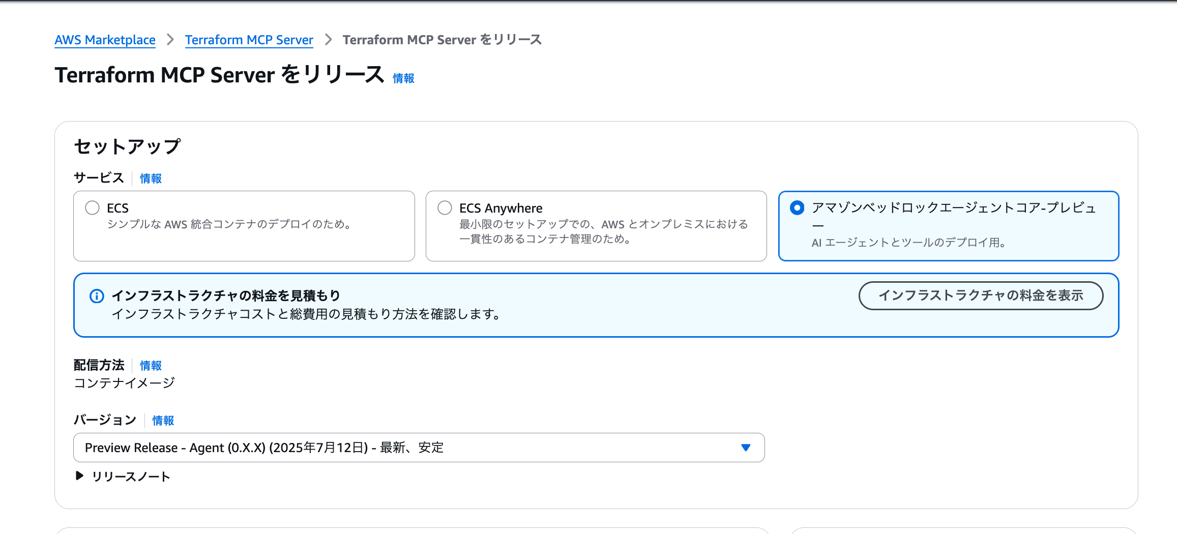 AWS_Marketplace__Terraform_MCP_Server.png