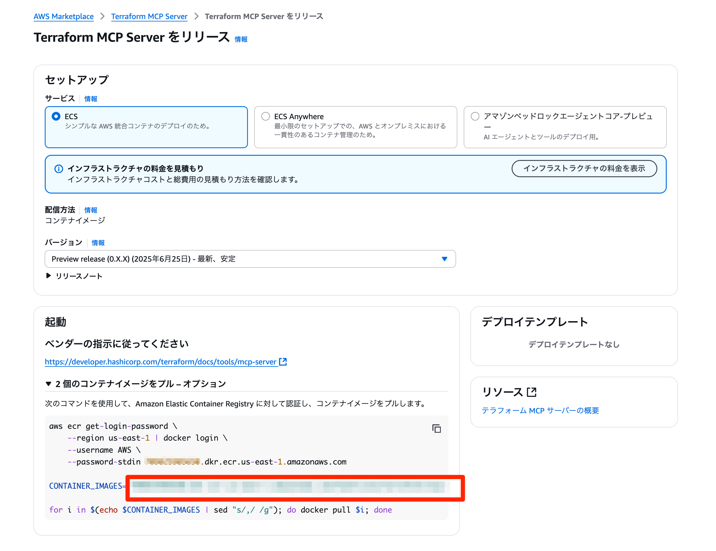 AWS_Marketplace__Terraform_MCP_Server.png