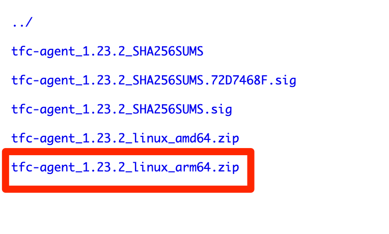 Tfc_Agent_v1_23_2_Binaries___HashiCorp_Releases.png