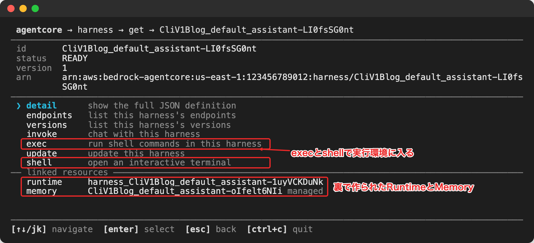 Harnessの詳細画面。execやshellのメニューと、裏で作られたRuntime・Memoryが表示される