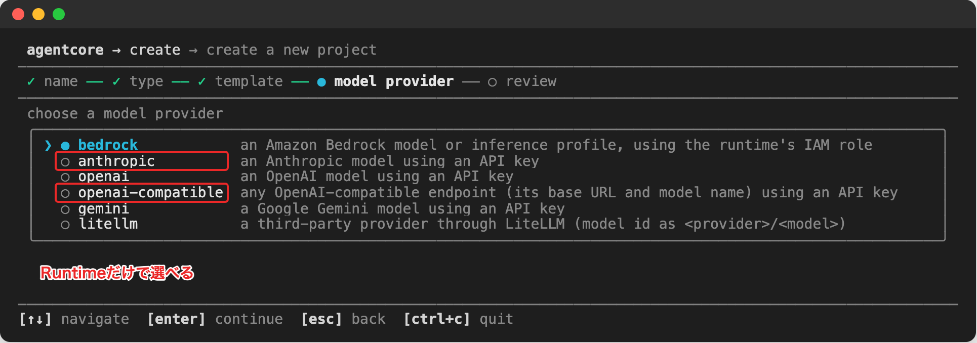 Runtimeのモデル選択。anthropicとopenai-compatibleも選べる