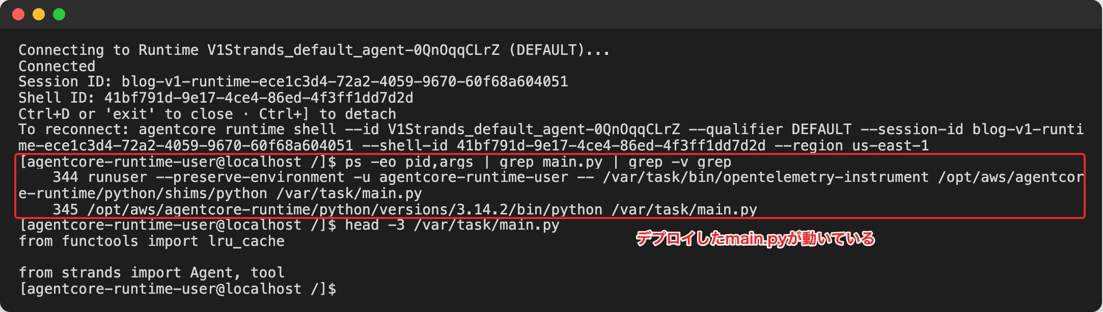agentcore runtime shellでセッションに入り、デプロイしたmain.pyが動いているプロセスを確認した画面