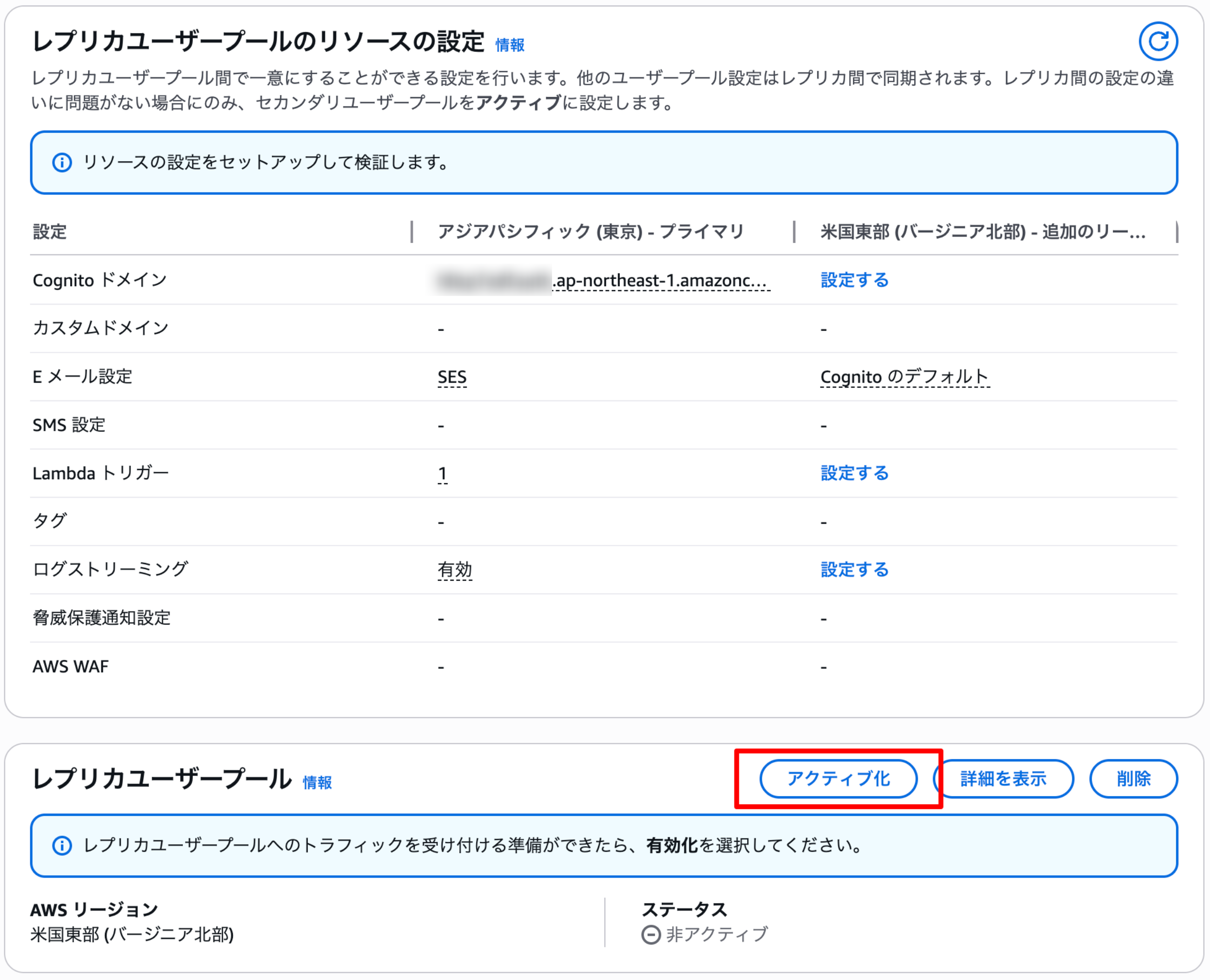 cognito replica inactive
