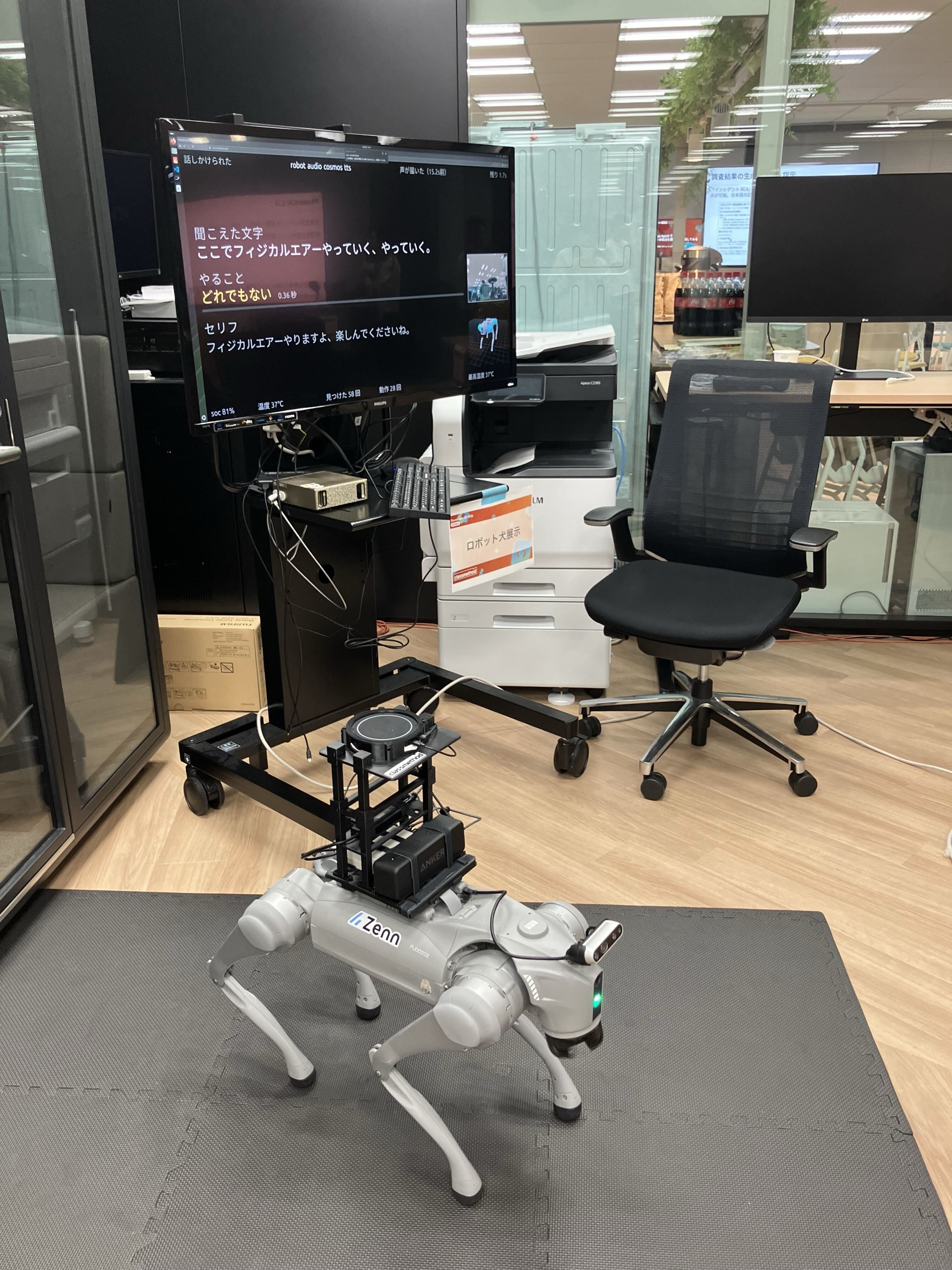 展示の様子