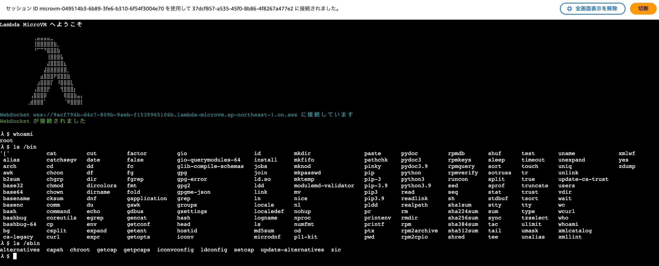 running-microvm-shell.jpg