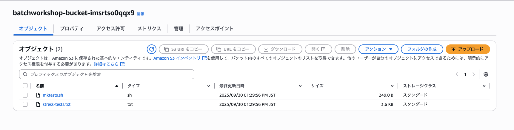 2025-09-30-aws-batch-deep-dive-demo-13