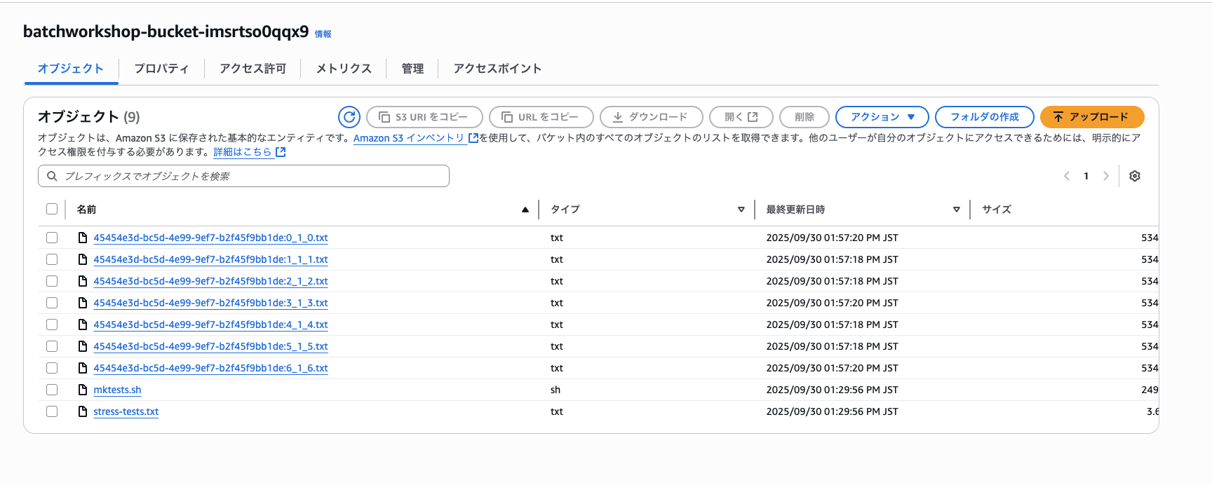 2025-09-30-aws-batch-deep-dive-demo-18