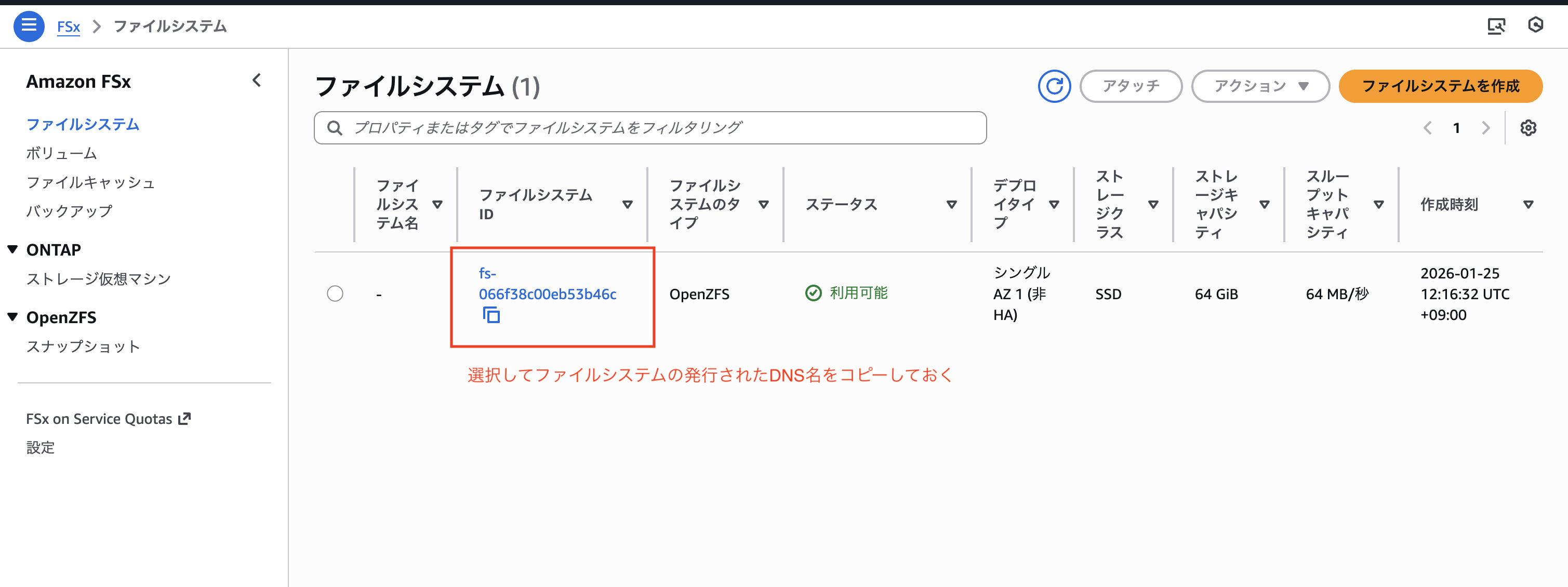 2026-01-25-fsx-for-openzfs-snapshot-08