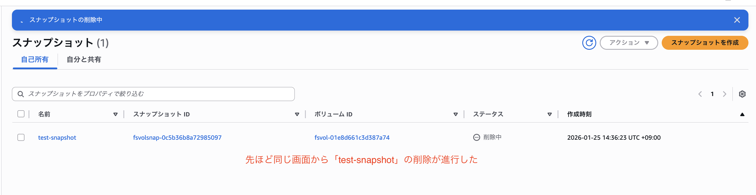 2026-01-25-fsx-for-openzfs-snapshot-20