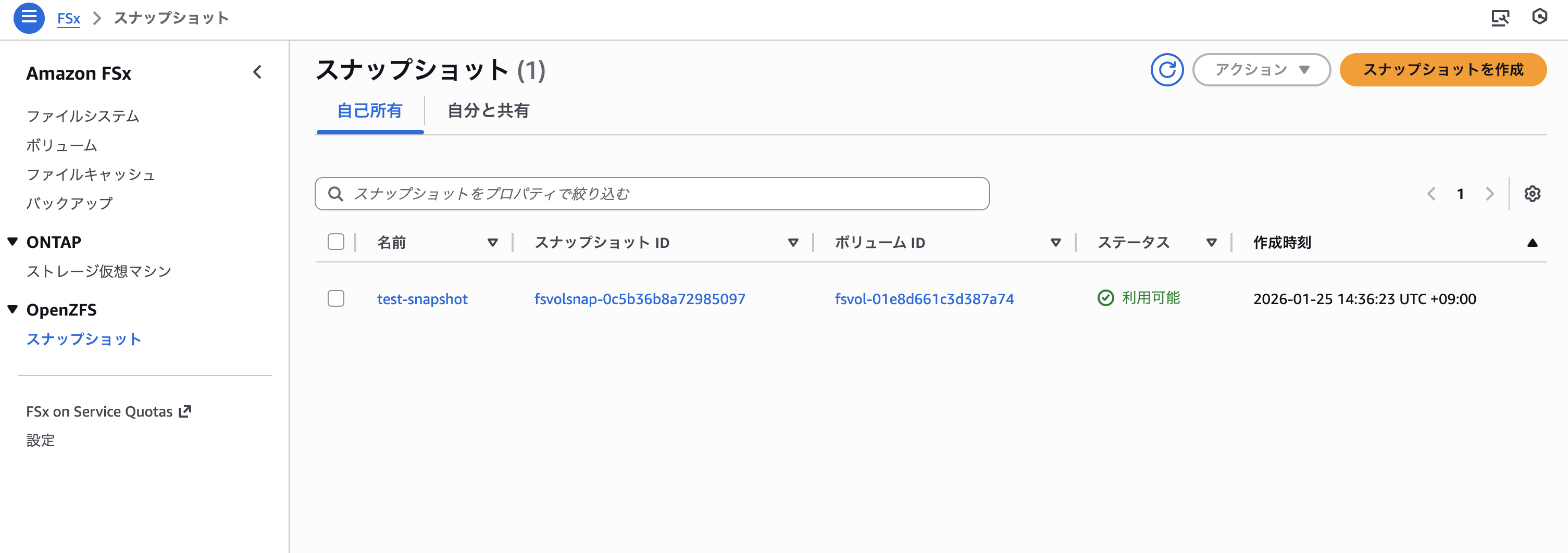 2026-01-25-fsx-for-openzfs-snapshot-11