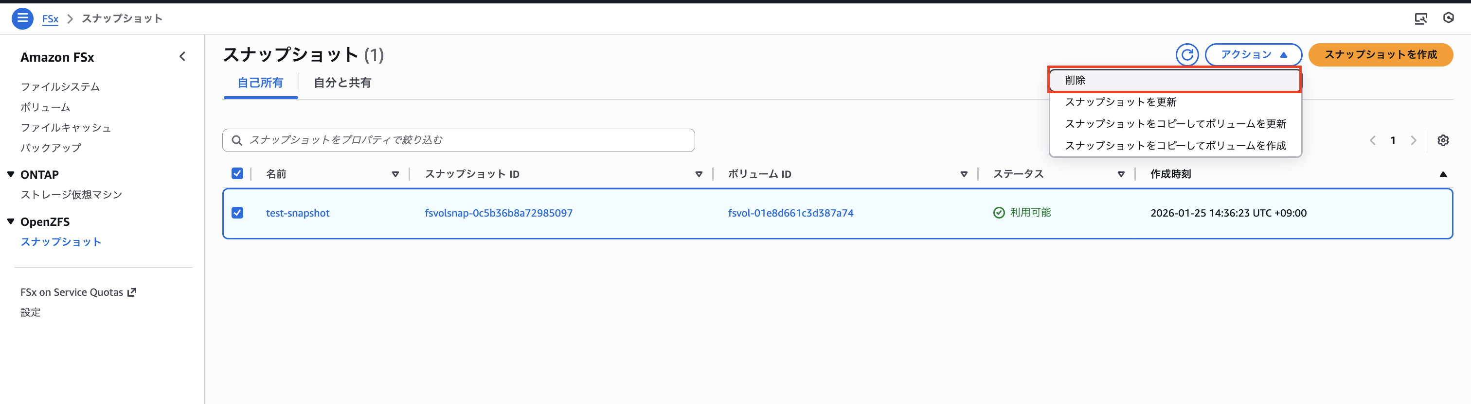 2026-01-25-fsx-for-openzfs-snapshot-17