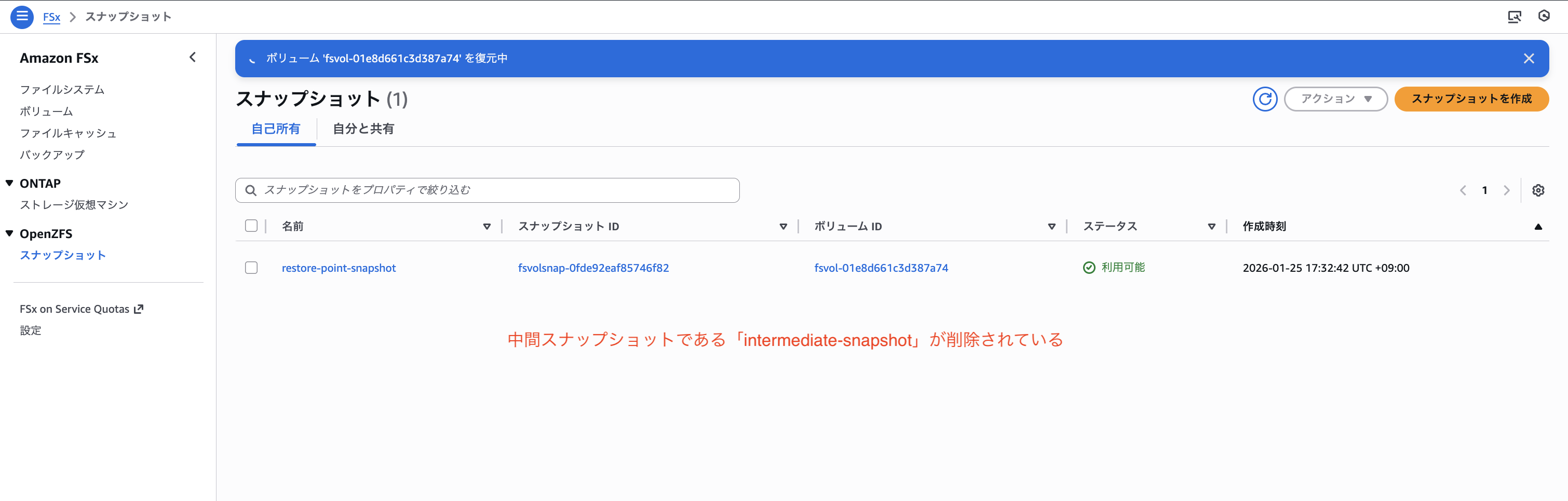2026-01-25-fsx-for-openzfs-snapshot-36