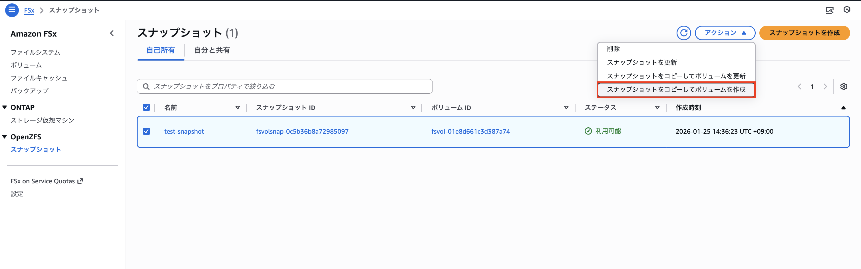 2026-01-25-fsx-for-openzfs-snapshot-12