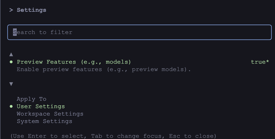 Preview Featuresの設定画面