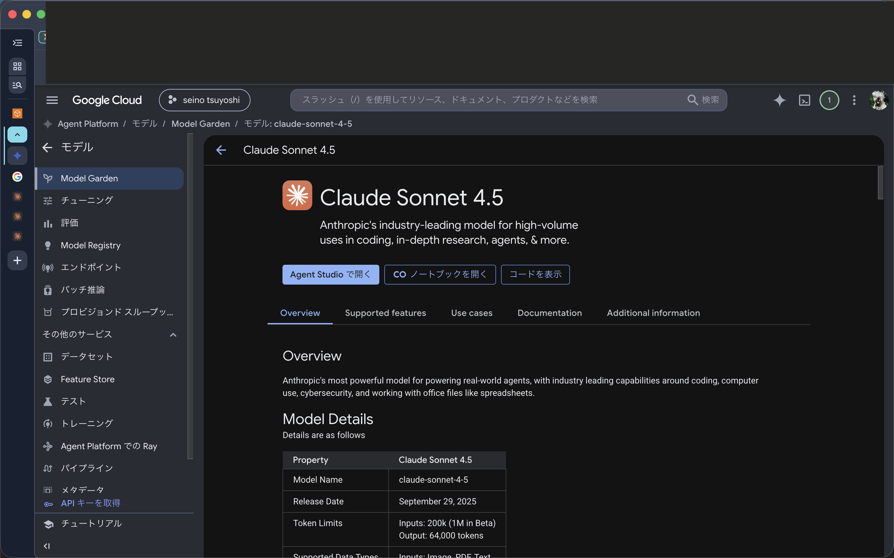 10_gcp-vertex-ai-claude-sonnet-45-detail2.png