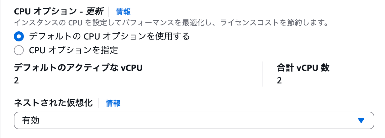 02b_ec2-cpu-options-nested-virtualization.png