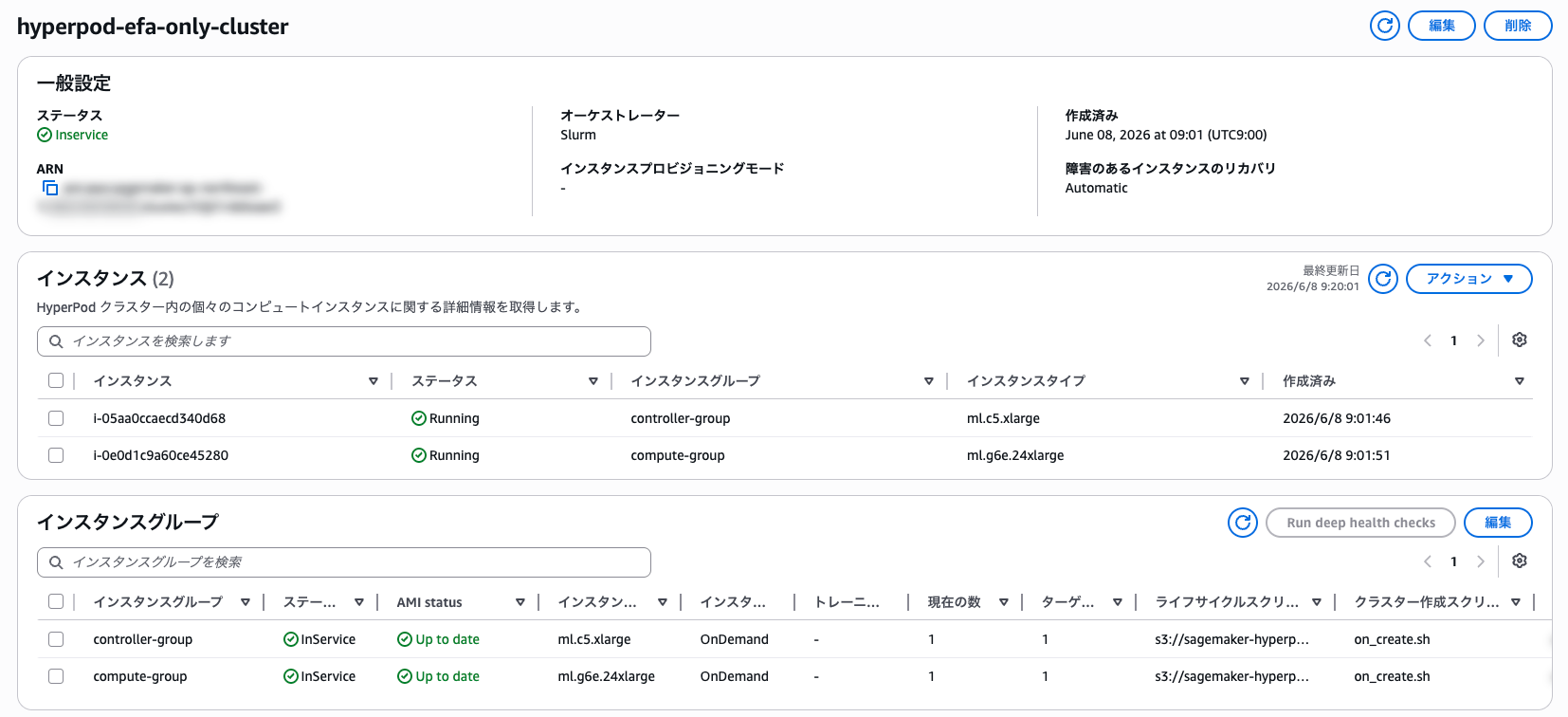 hyperpod-efa-only-cluster___クラ…_SageMaker_AI___ap-northeast-1.png