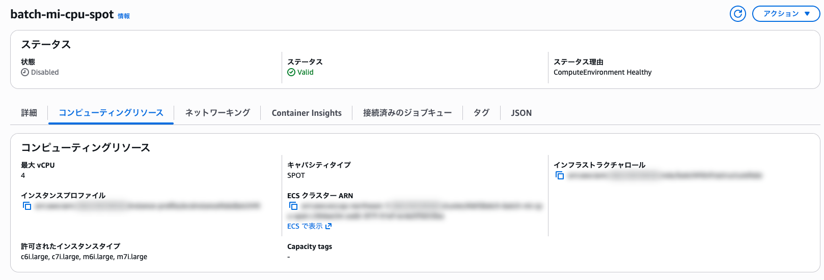 04-batch-ce-cpu-spot-detail.png