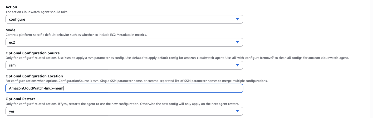 Optional Configuration Location にパラメータ名を入力した画面